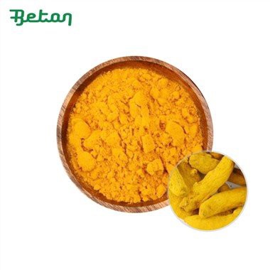 Εκχύλισμα βιολογικού κουρκουμά