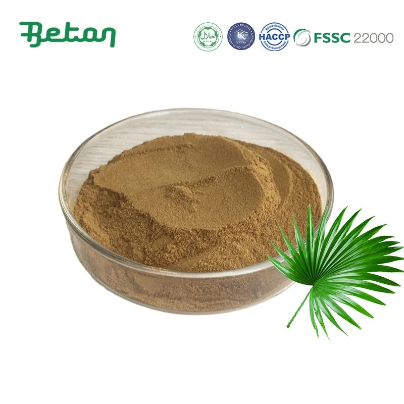 Saw Palmetto Extract σε σκόνη
